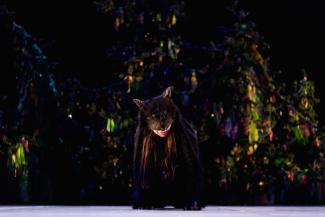 Un acteur déguisé en loup sur scène